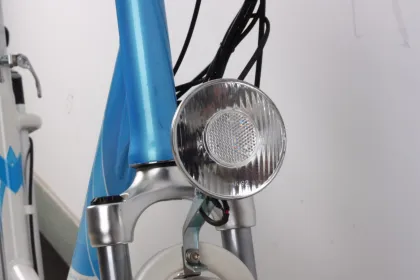 Hongdu Ebike En15194 Approved Electric Bicycle with Low Step (TDF01Z-603)