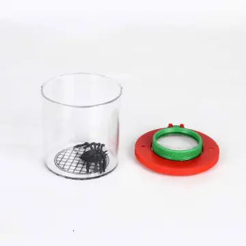 3X Educational Insect Viewer Double Lens Plastic Magnifying Glass