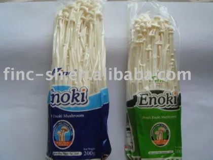 enoki (fungus mushroom)
