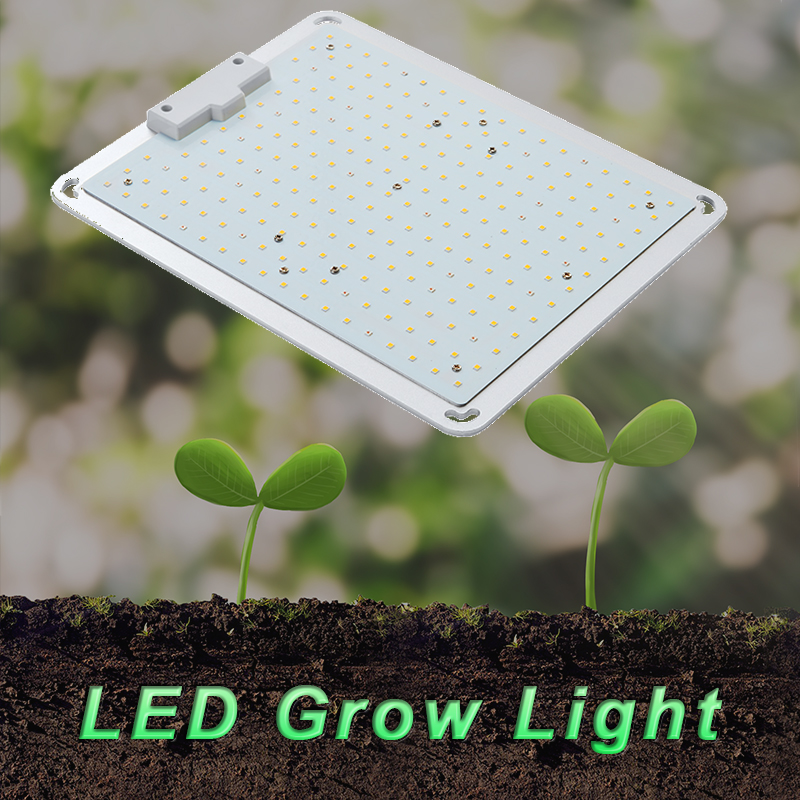 يؤدي نمو الضوء الداخلي النمو في النمو إلى مصباح النمو