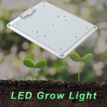 Lámpara de cultivo de luz de crecimiento cuántico interior
