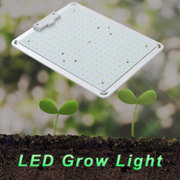 Lámpara de cultivo de luz de crecimiento cuántico interior