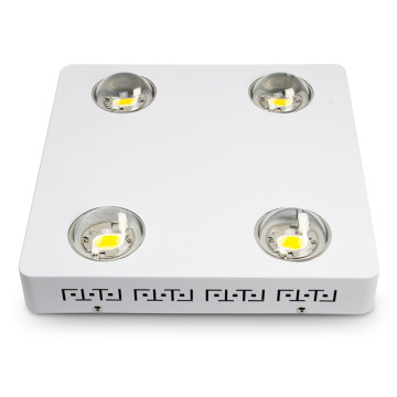 Großhandelspreis 400 Watt COB LED Wachsen Beleuchtung CXB3590 CXB 3590 3500 Karat CB Bin 80 CRI 36 V Verfügbar