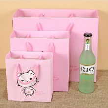 Pink Nordic Style 4C Printed Paper Gift Bags