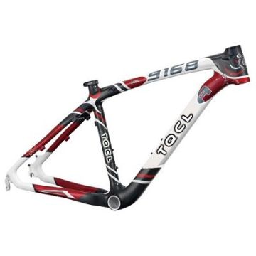 NFR-9168  MTB Bike Carbon Frame