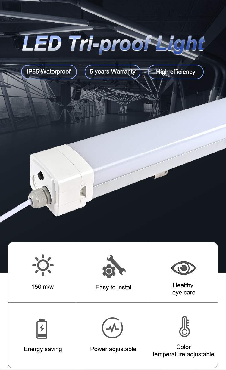 Dustproof LED light