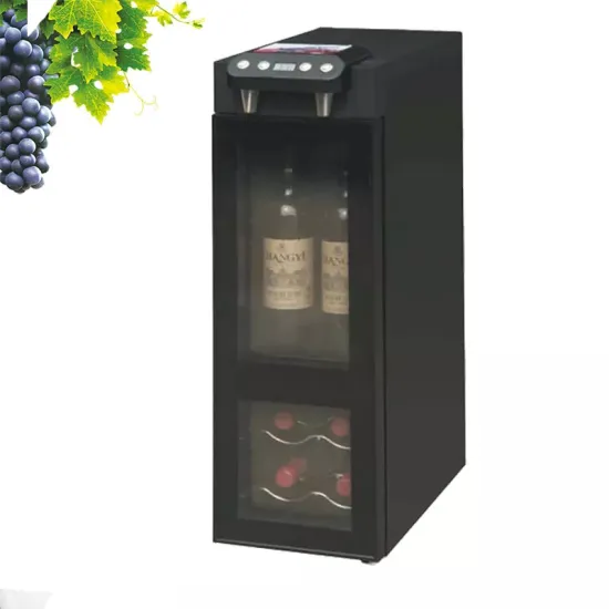 Hot Sale 2 Bottle Wine Cooler Fridge Dispenser for Home Use
