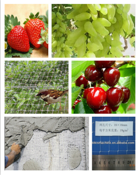 CE certificaiton, bird net for widely use