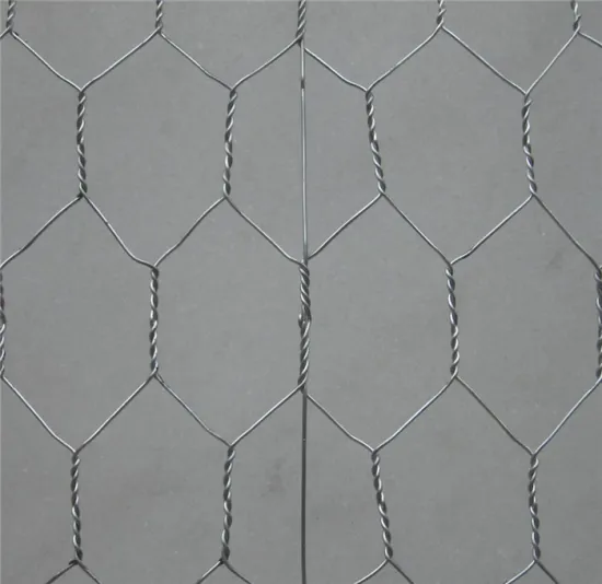 1'' Hot-dip Galvanized Hexagonal Wire Nettings