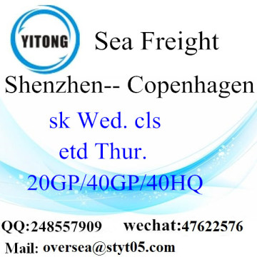 Shenzhen port sea freight shipping to Copenhagen