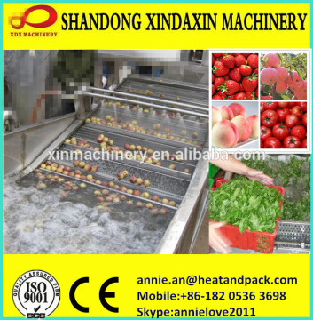 Fruit Washing Machine for apple berry cherry peach