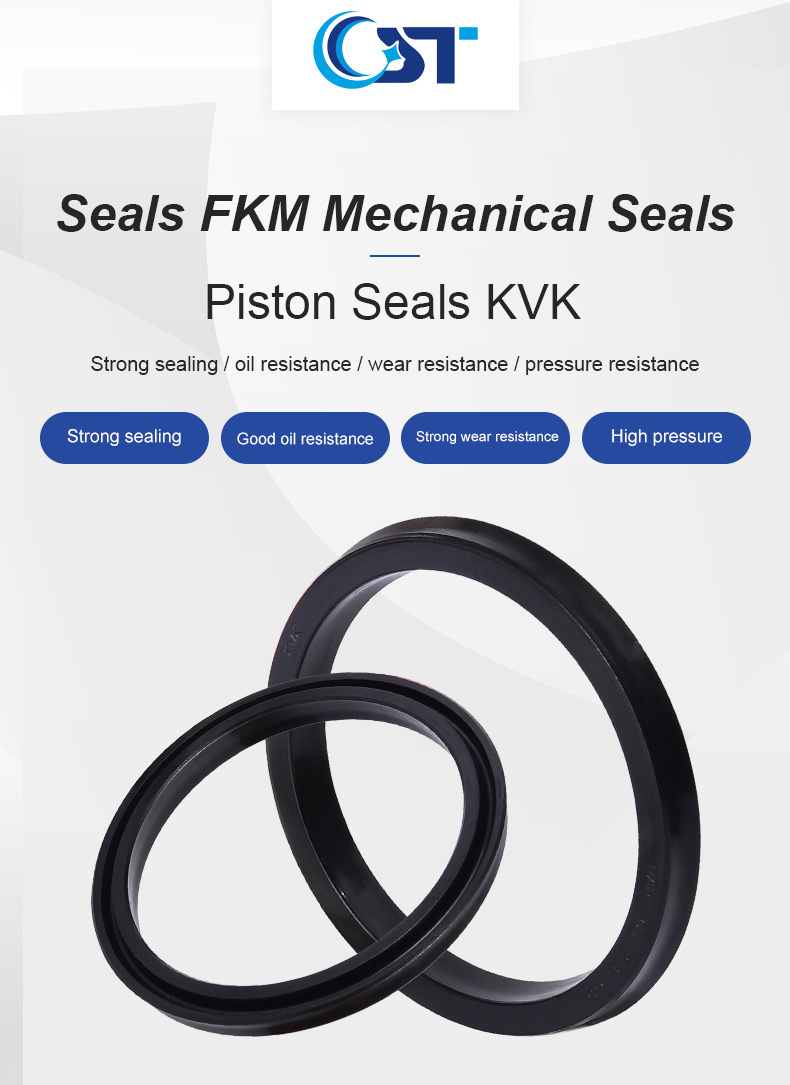 Pap Piston Seal Fkm
