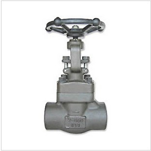 Female Thread and ISO228 Copper Brass Gate Valve (VG-B11021)