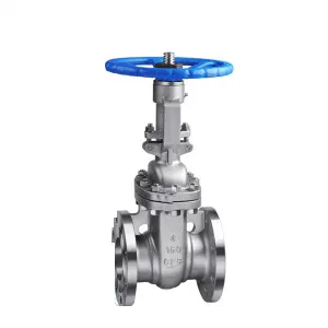 API Cast Steel Gate Valve