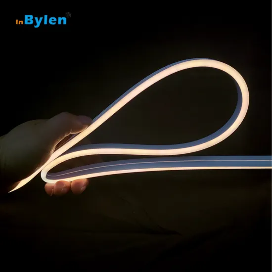 6mm 12V 24V Neon Flex LED Strip for Projects