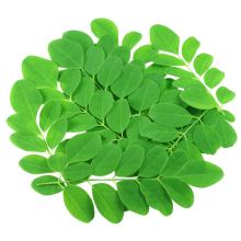  Health care product raw materials Herbal extract moringa leaf extract Factory