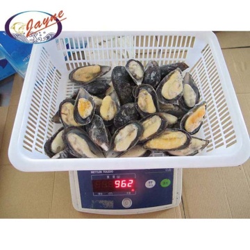Buy from china high quality frozen cooked precooked mussels half shell