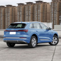 2021 Audi e-tron 50 quattro Luxury Edition