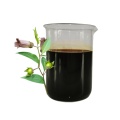 Pure Atropa Belladonna Fluid Extract - Natural Herbal Formula