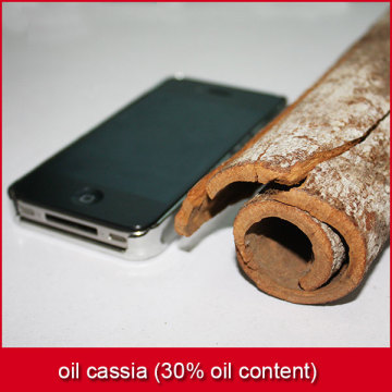 oil cassia (30% oil content)