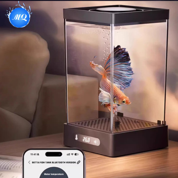 Tangki ikan mini yang elegan untuk dekorasi dalam ruangan