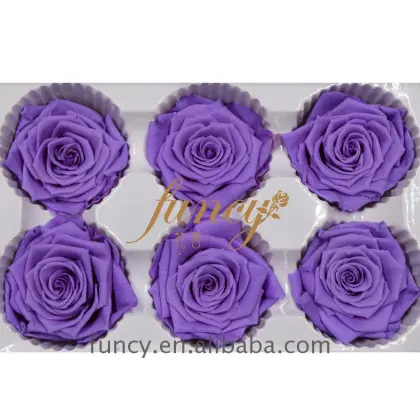 Yunnan FuncyFlora's Best 5-6cm Purple Natural Immortal Preserved Roses