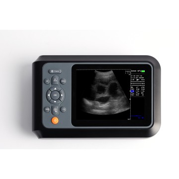 SONO V6+ wired sheep ultrasound
