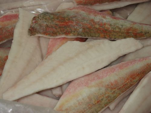 Frozen Red Gurnard Fillet