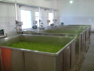 STJ hot-air dewatering machine for vegetables