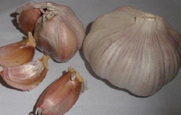 Organic Purple Skins Of Garlic