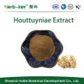 10：1比Harba Houttuyniae Extract Powder