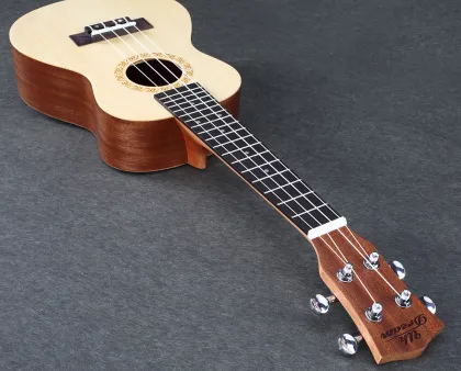 23 inch spruce noodles ukulele