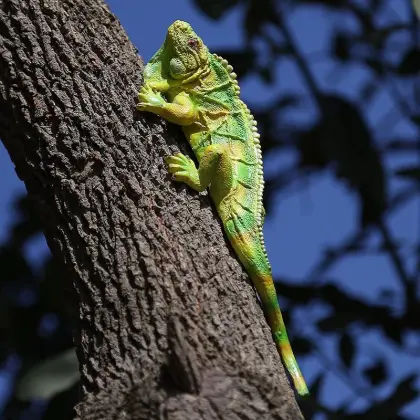 Simulated Resin Lizard Ornament