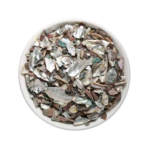 Abalone Shell for Liver Calming and Wind Control