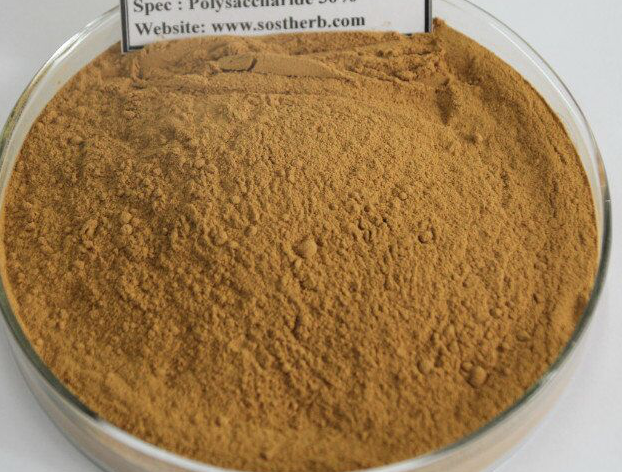 cordyceps sinensis extract skin benefits
