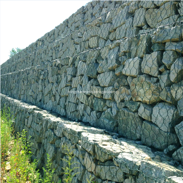 Maglia esagonale del gabbione del canestro