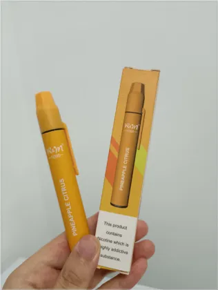 Disposable Puff R&M Hit 1000 Puffs Device