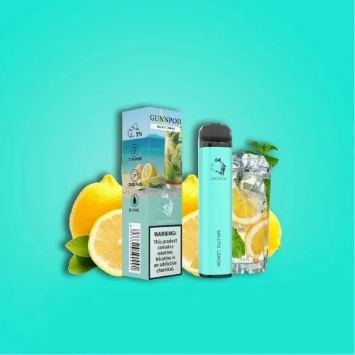 Hot Selling 2014 Fruit Flavored 500 Puffs Disposable