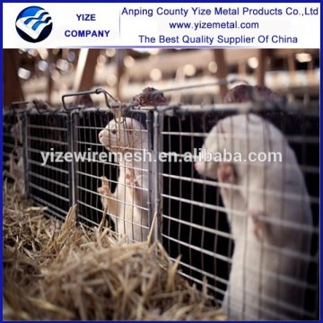 China Manufacture cage trapping mink
