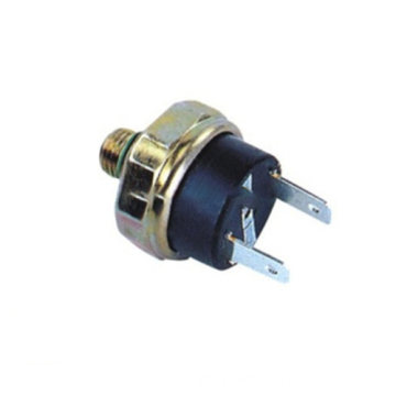 WELL-IN 12V Air Water Pump with Automatic Pressure Switch for Air Compressors