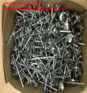 Electro Galvanized Umbrella Roofing Nail