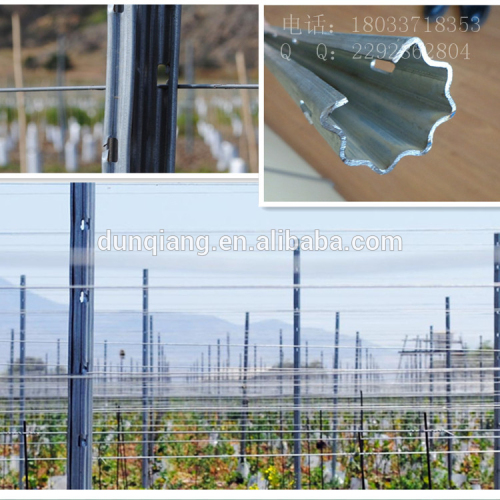 2014 hot sale galvanized Grape post/Vineyard/Orchard Trellis post