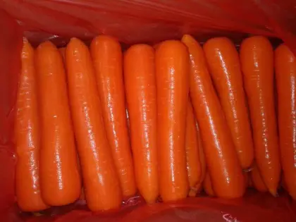 Fresh Carrot in weifang