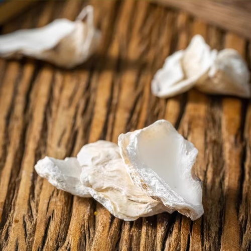 Oyster Shell for Calming Herbal Use