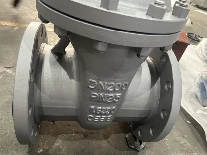 1.6220 Gate Valve