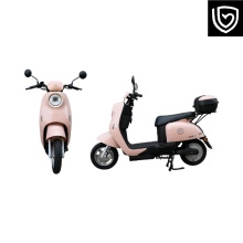 اسکوتر برقی: نسخه دینامیک (لاک پشت مدل 2)