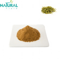 Honeysuckle flower extract 20% chlorogenic acid powder