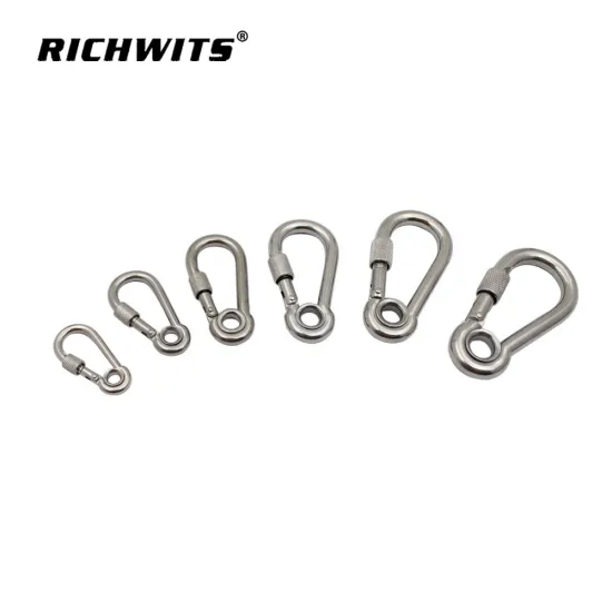 Hardware 304/316 Stainless Steel Carabiner Hook With Eyelet And Nut