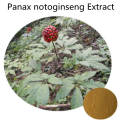 Buy online ingredients Panax notoginseng Extract powder