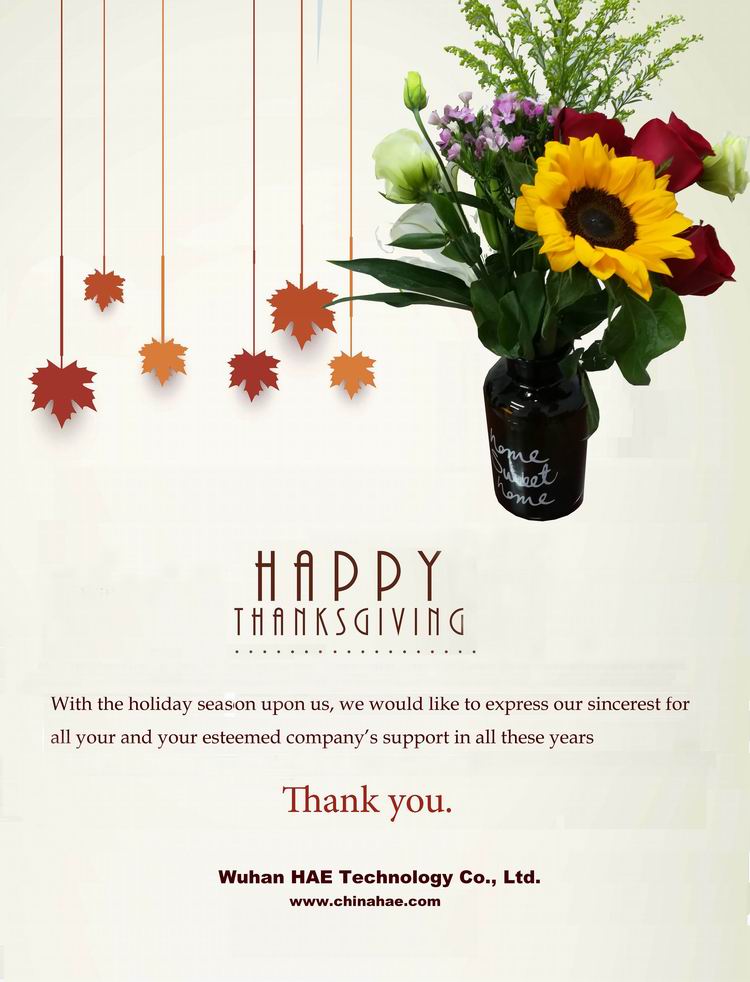 Εκτυπωτής τοίχων HAE Wall Printer Thanksgiving.jpg